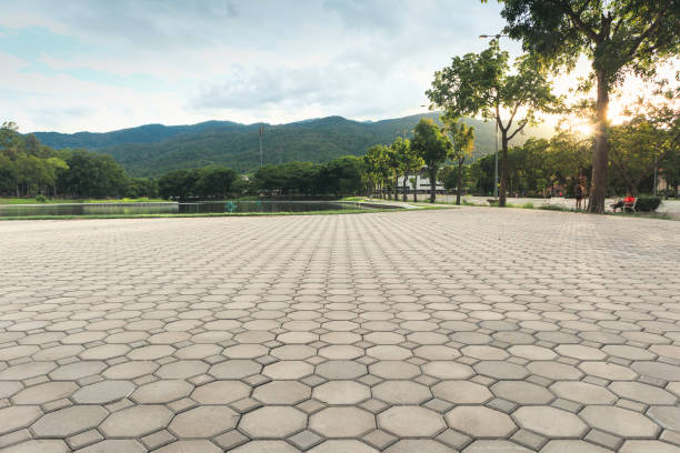 Best Residential Paver Driveway  in Cold Spring, KY